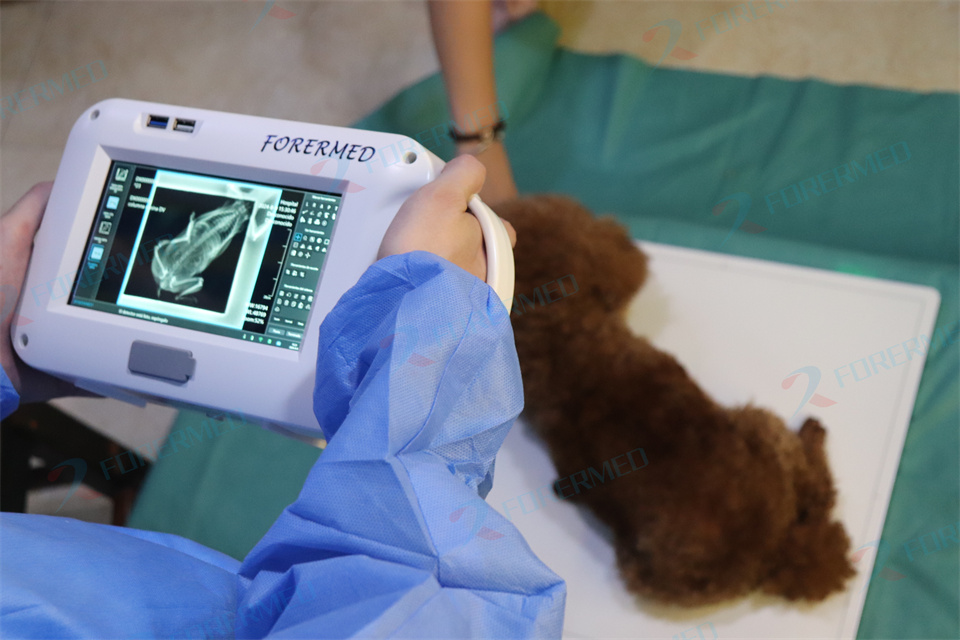 Mini máquina veterinária de ra - Vet Tech Accessories avaliação e preço