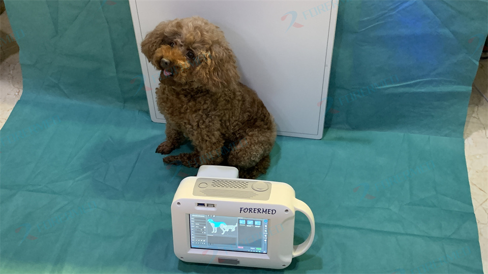 Mini máquina veterinária de ra - Vet Tech Accessories avaliação e preço